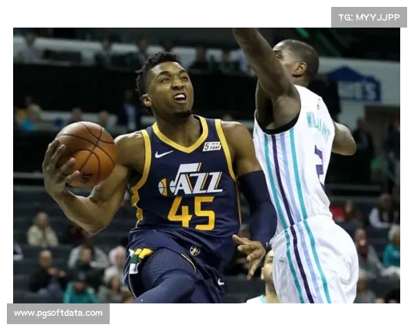 黄蜂三球贡献全面数据 但难阻球队失利